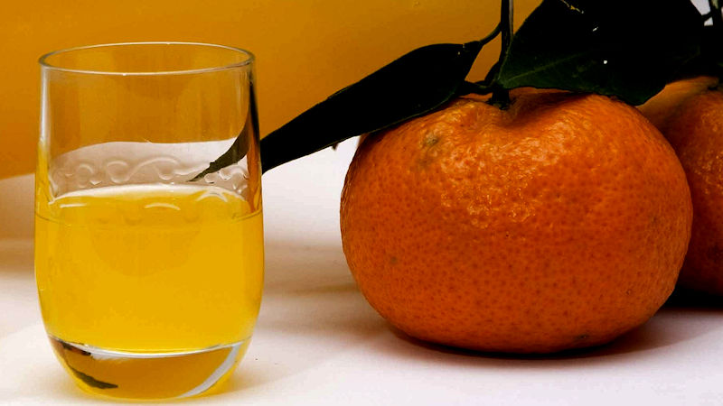 Liquore al mandarino Bimby